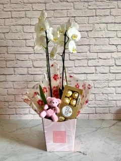 Pacote Orquídea Branca + Chocolate + Pelúcia + Vaso