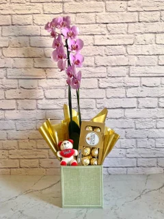 Pacote Orquídea Rosa + Chocolate + Pelúcia + Vaso